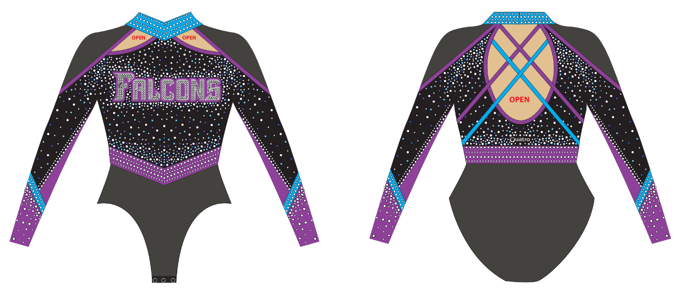 Swansea Falcons Cheer 25 Main Program/Pom Leotard